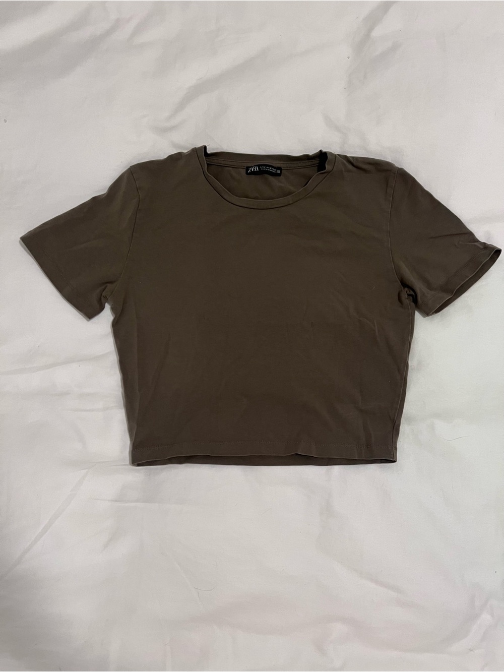 Zara Crop T-Shirt